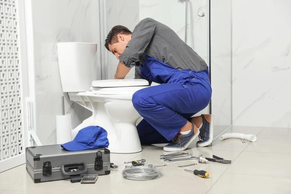 Toilet Repair in South Patrick Shores